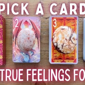 How They’re Currently Feeling About You❤️🥰| PICK A CARD🔮 Timeless In-Depth Love Tarot Reading✨