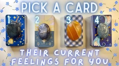 How They’re Currently Feeling About You🥺💙| PICK A CARD🔮 In-Depth Love Tarot Reading