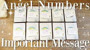 Angel Numbers & Their MESSAGES For You! (PICK A CARD)