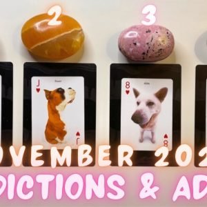 November 2021 Predictions & Advice🔮🍂| PICK A PUP🐶🐾 In-Depth General Tarot Reading