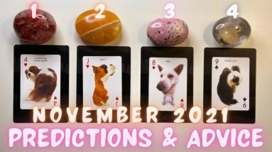 November 2021 Predictions & Advice🔮🍂| PICK A PUP🐶🐾 In-Depth General Tarot Reading