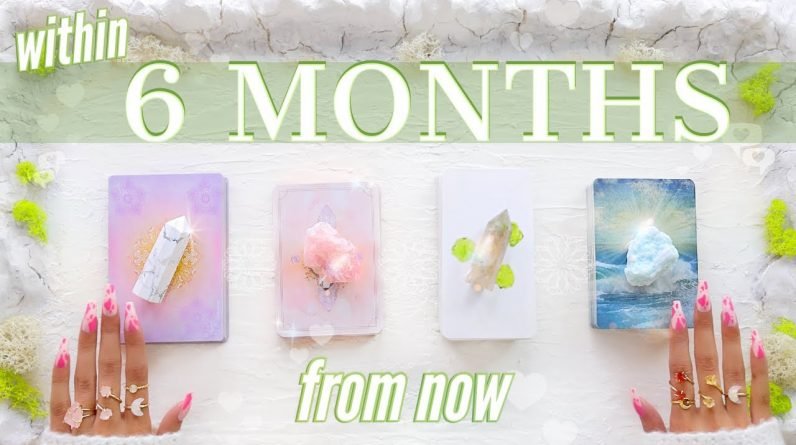 🔮Within 6 MONTHS From Now: Love, Career, Family & Money💰📬💡✨(Pick A Card)✨Tarot Reading✨