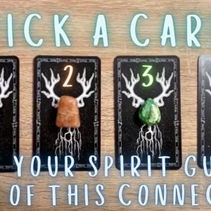 What *Your* Spirit Guides Think of This Connection😇✨Reading with @Kino Tarot | PICK A CARD🔮