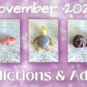 November 2022 Predictions & Advice🐚🐬 Pick A Card🔮 In-Depth Tarot Reading