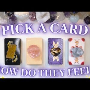 How They Truly Feel About You 🌹✨ Detailed Pick a Card Tarot Reading 💕