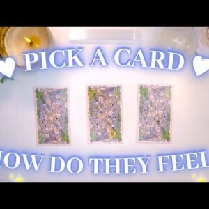 Their Current Thoughts & Feelings For You 💕🌿 In-Depth Pick a Card Tarot Reading ✨