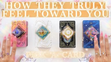 💡How They *truly* FEEL toward You👀(low contact reading)🔮✨Pick - a -  Card📜Tarot Reading✨🔥🧚‍♂️