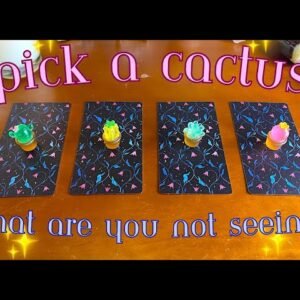 What You’re NOT SEEING 👁🌵✨ Detailed Pick a Card Tarot Reading