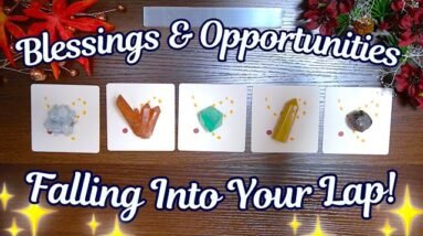 What’s About to 🍂Fall 🍂 into Your Lap? ✨ Detailed Pick a Card Tarot Reading