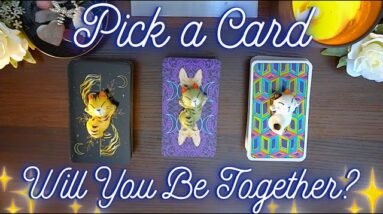 Will You End Up Together? 🐈‍⬛💕 Detailed Pick a Card Tarot Reading