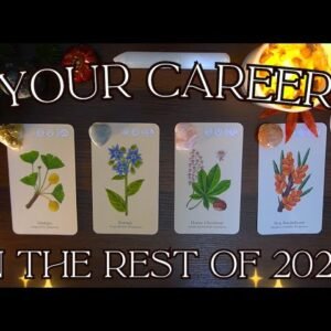 Your CAREER in the Rest of 2024! 🍎🌼 Detailed Pick a Card Tarot Reading