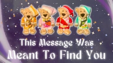 This Message was Meant to Find You🐻🦋Pick a Card In-Depth Timeless Tarot Reading