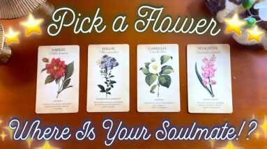 Where tf is your Soulmate? 🙃💕 Detailed Pick a Card Tarot Reading 💘