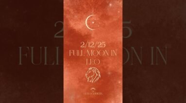 Watch This BEFORE February 12th • Full Moon in LEO #astrology #fullmoon #leo #fullmooninleo